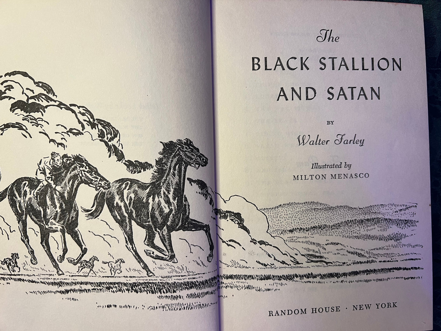 "The Black Stallion and Satan" by Walter Farley